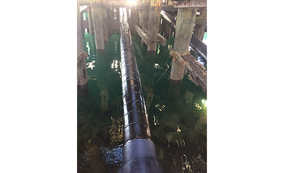 Pipes under the old pier protected with SeaShield™